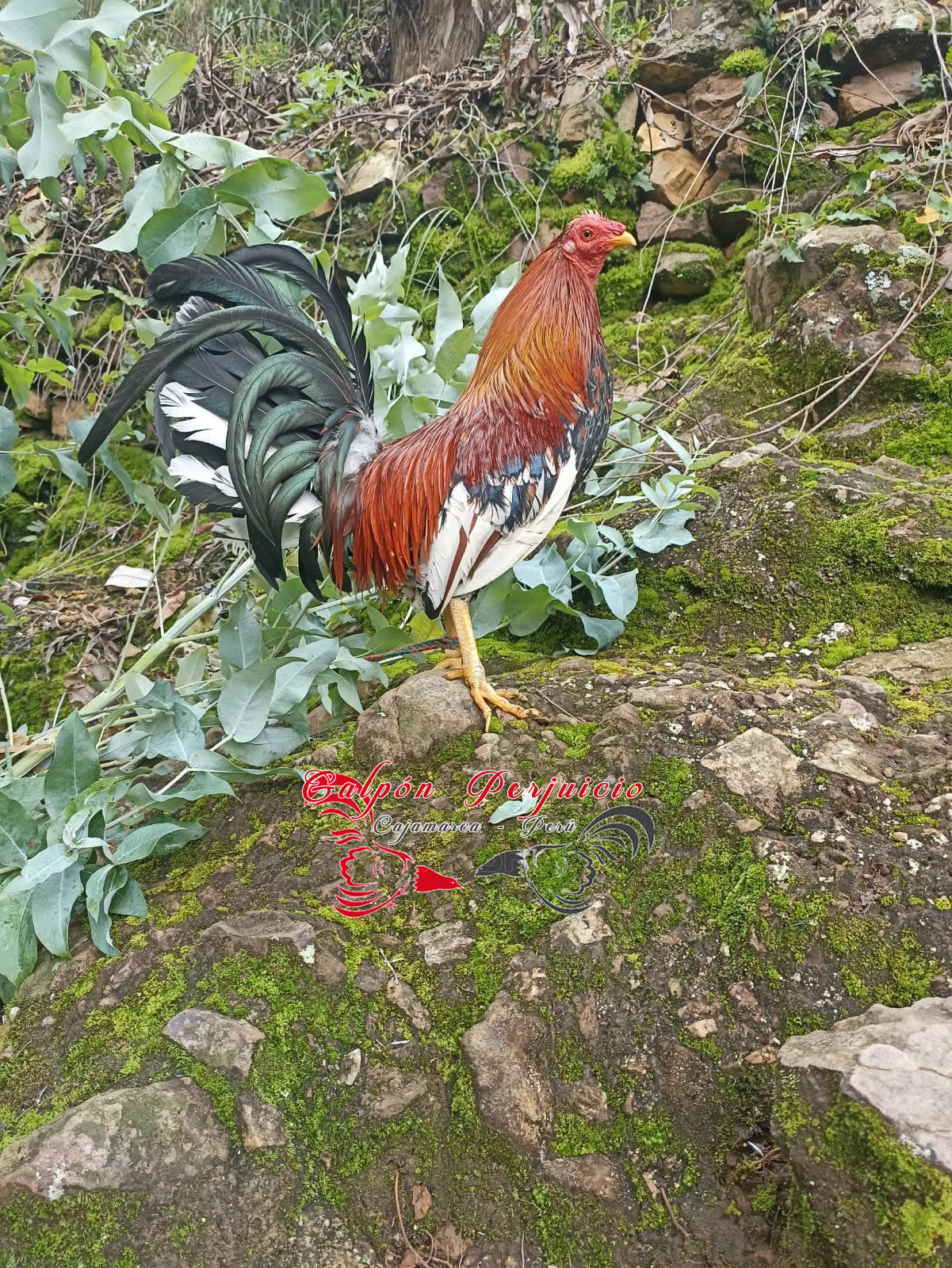 397256fc 4ca7 4af1 9df5 dea116ea794d